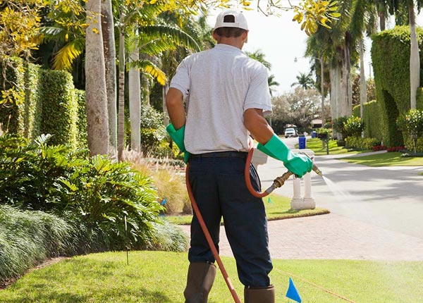 About Lanoka Harbor NJ Pest Control Pros